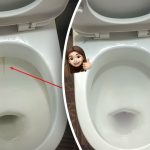 Jeden produkt wybieli muszlę klozetową do połysku: jak poradzić sobie